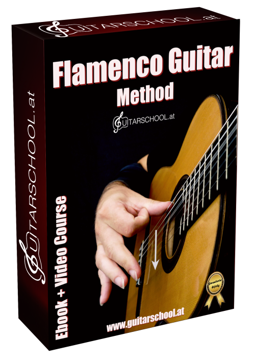 Flamenco Guitar Online Course Member area and video courses