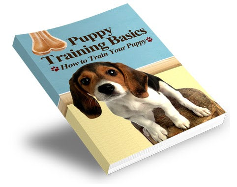 Puppy Training Basics Book EBooks